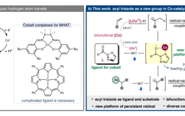 Nature Commun：发现三唑能够产生自由基用于交叉偶联