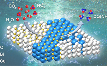 韩布兴院士团队JACS：Cu-Bi双金属异质界面CO2和硝酸盐电催化偶联合成尿素