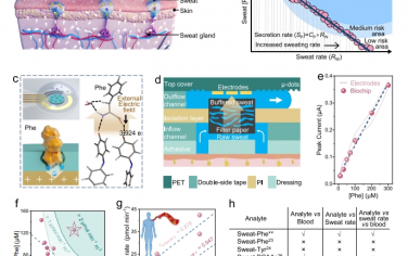 Nat Commun：用于跟踪运动代谢的个体间和血液相关汗液苯丙氨酸多模式分析生物芯片