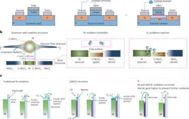 Nature Energy：量子限制诱导金属镍氢氧化电催化剂的抗电氧化