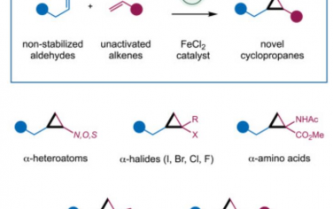 Chem：未活化烯烃与非稳定铁卡宾的环丙烷化反应