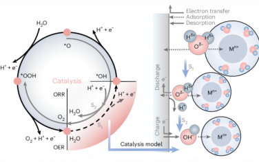 Nature Catalysis：快速充电水性锌离子电池中Zn2+介导的催化作用