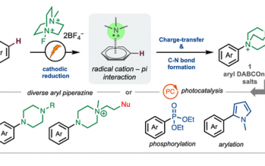 JACS：电催化芳基C-H氨基化