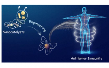 Chem. Soc. Rev.：调节抗肿瘤免疫纳米催化剂的制备、机制及应用