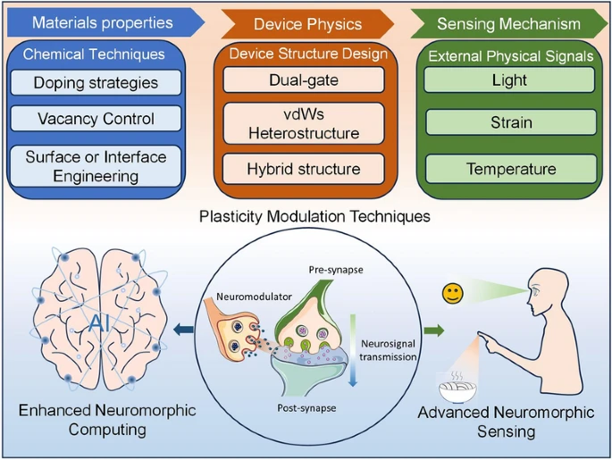Nano-Micro Letters：突触可塑性调节技术在神经形态应用中的最新进展