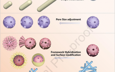 Biomaterials综述：生物活性介孔二氧化硅材料用于辅助癌症免疫治疗