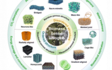 Chem. Soc. Rev.：可再生生物质气凝胶：从结构设计到功能调控