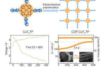 Angew：用于锂有机电池的高容量卟啉-噻吩基共轭聚合物正极