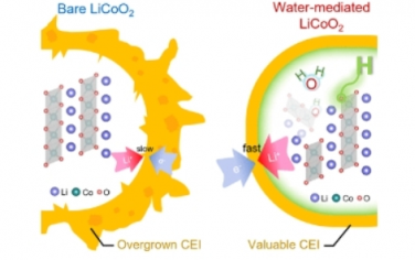 ACS Nano：水介导表面工程增强了快速充电 LiCoO2 阴极的高压稳定性