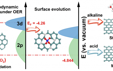 中科大Angew：M-N-C单原子OER催化剂的动态结构