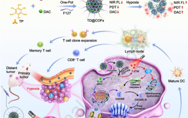 Biomaterials：乏氧加速的细胞焦亡纳米诱导剂用于增强成像引导的癌症免疫治疗