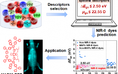 JACS：设计近红外二区染料的两个关键描述符及实验验证