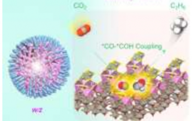 Angew：非金属plasmonic光催化剂还原CO2制备C2H6