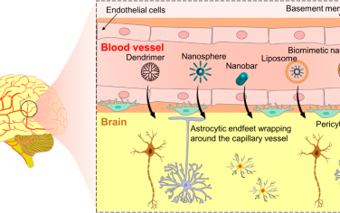 ACS Nano综述：能够穿越血脑屏障的功能化纳米材料