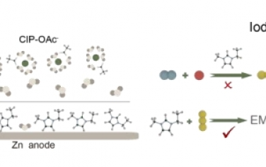 Angew：用于无梭锌-碘电池的全能离子液体