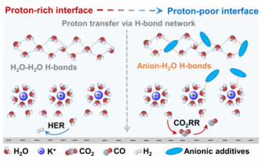 ACS Catal：调节界面氢键促进酸性电解CO2