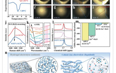 AEM：设计具有胶体状结构的防冻电解质以实现水性锌离子电池的高倍率性能
