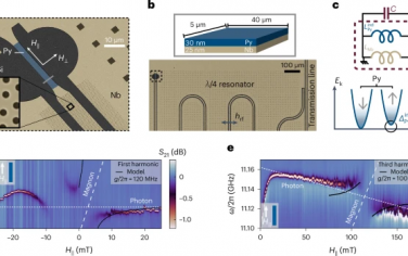 Nature Physics：混合超导体-铁磁体双层中诱导的双重各向异性配对的电路量子电动力学检测