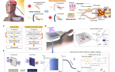 Science Advances：用于仿生辐射屏蔽的单片集成神经形态电子皮肤