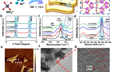 福州大学Nature Commun：Ni掺杂单层Bi2WO6光催化甲苯氧化