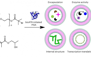 Nature Chem：生物催化聚合自组装构筑人工细胞