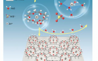 AEM：多功能冠醚添加剂调节脱溶过程以实现高可逆性锌金属电池