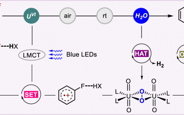 华东师范大学JACS：光催化分解水介导C-F羟基化