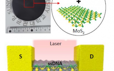 Adv Mater：DNA-MoS2生物纳米复合物优异光导电性能