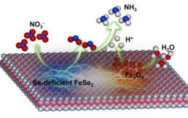 Angew：FeSe2/Fe3O4异质结电催化还原硝酸盐