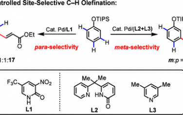 余金权ACS Catal：Pd催化硅烷保护苯酚的间位或对位C-H烯烃化