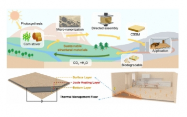 Nano Letters：利用微/纳米结构玉米秸秆生产可持续高性能结构材料