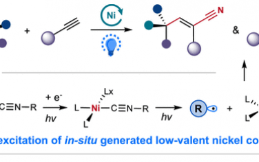 东华大学储玲玲JACS：Ni光催化切断C-N对炔烃实现碳氢氰基化