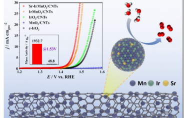 Adv Mater：Sr掺杂IrMnO2/CNT电催化OER