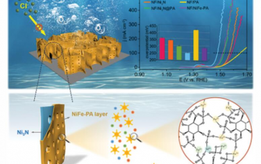 AEM：海水电解中Ni3N纳米阵列与NiFe-Phytate复合物的耐腐蚀多层电极促进析氧