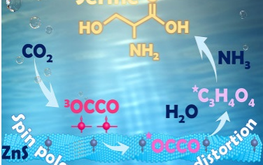 Chem：手性ZnS光催化立体选择性还原CO2合成氨基酸