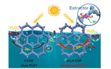 Angew：COF 上强电子/质子提取的定制设计，用于高效光催化 H2O2 生产