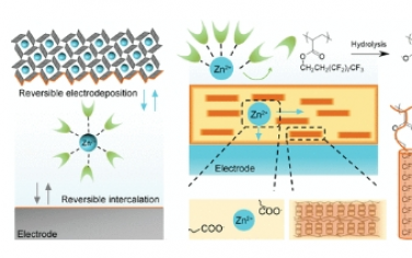 JACS：用于稳定水电池的超薄和半结晶聚合物中间相形成的自适应离子通道