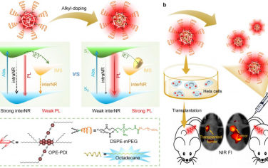 Angew：烷基掺杂可显著抑制构象弛豫和分子间非辐射衰变以增强近红外荧光成像