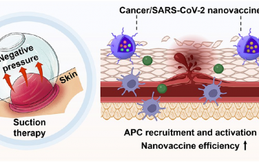 ACS Nano：基于吸力启发的物理疗法的多功能纳米疫苗增强策略