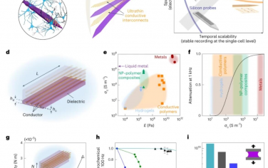 Nature Nanotechnology：基于氟化弹性体的3D时空可扩展体内神经探针