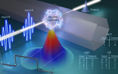 Nature Photonics：局域激子极化子中的全光时序逻辑门