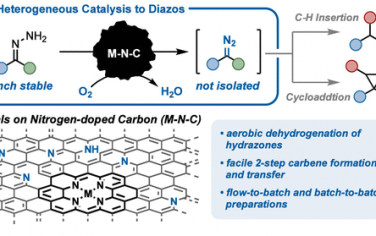 JACS：Fe-N-C催化合成重氮化合物