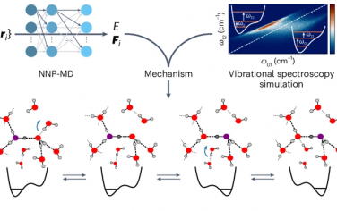 Nature Chem：神经网络分子动力学模拟研究质子传输机理