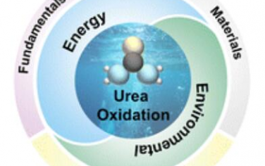Chem. Soc. Rev.：用于能源和环境应用的尿素催化氧化