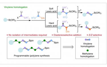 Nature Synthesis：有机硼酸酯的立体选择性亚乙烯基同系物合成烯基硼酸酯