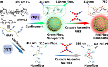 Nano Lett：基于葫芦脲的可调节纳米超分子用于近红外磷光成像