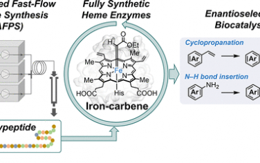 麻省理工学院JACS：自动流动相合成人工血红素金属酶用于立体有机合成