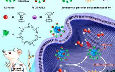 Angew：基于氧化还原性二茂铁淬灭剂的超分子纳米药物用于NIR-II荧光监测的化学动力学治疗