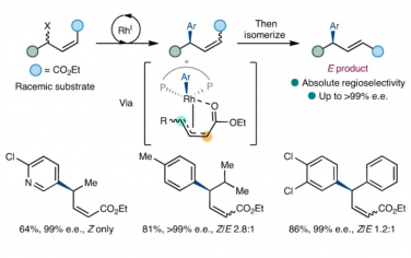 Nature Chemistry：螯合作用实现了无环烯丙基体系上对映体收敛铃木-宫浦交叉偶联的选择性控制