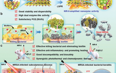 Adv. Mater：具有NIR-II增强的纳米酶活性、铂纳米颗粒调节的V2C MXene纳米平台用于抗感染治疗